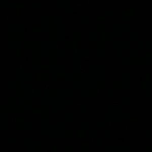 Meet your Posher, Ray